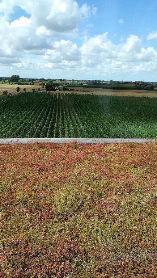 Monts Et Merveilles Godewaersvelde Luaran gambar