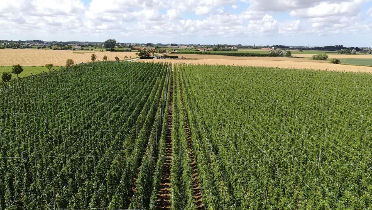 Monts Et Merveilles Godewaersvelde Luaran gambar