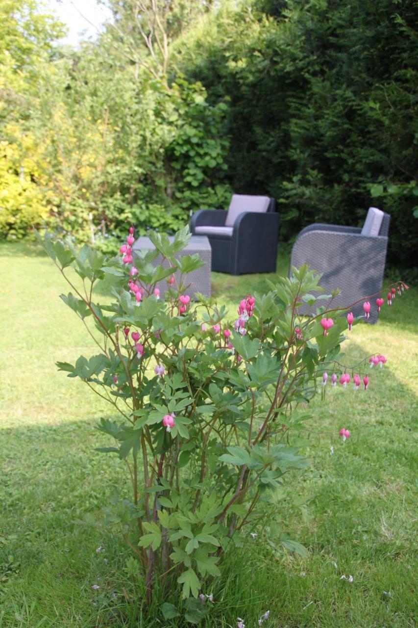 Monts Et Merveilles Godewaersvelde Luaran gambar